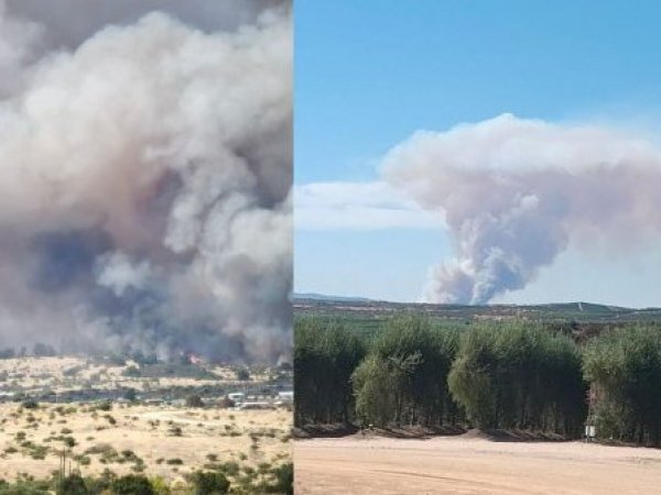 alerta-roja-litueche
