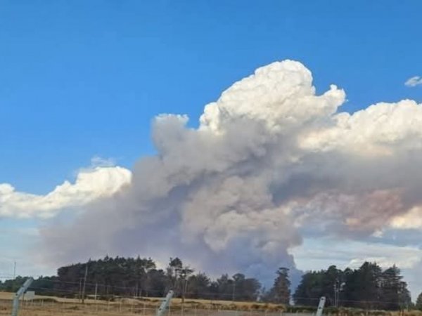 alerta-roja-incendio-forestal-ercilla