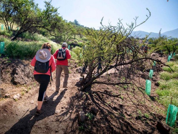 Trekking en Parque Cantalao, Pañalolén.