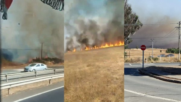 evacuacion-incendio-forestal-sectores-puren