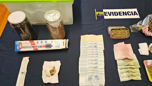 detectives-incautan-hongos-alucinogenos-pitrufquen