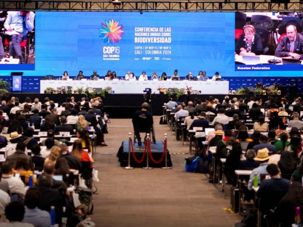 Imagen de la COP 16 realizada en Colombia.