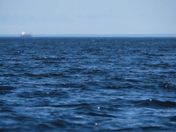 Océano pacífico. La Niña.