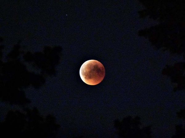 Luna de Sangre, 14 de marzo, 2025.