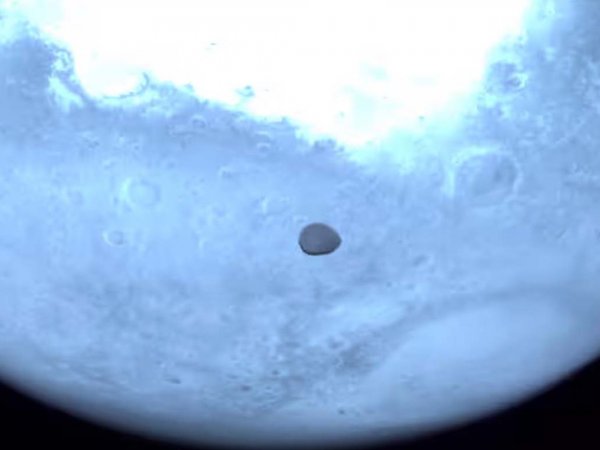 Imagen de Deimos capturada por la sonda Hera en su trayecto hacia el asteroide Dimorfos.