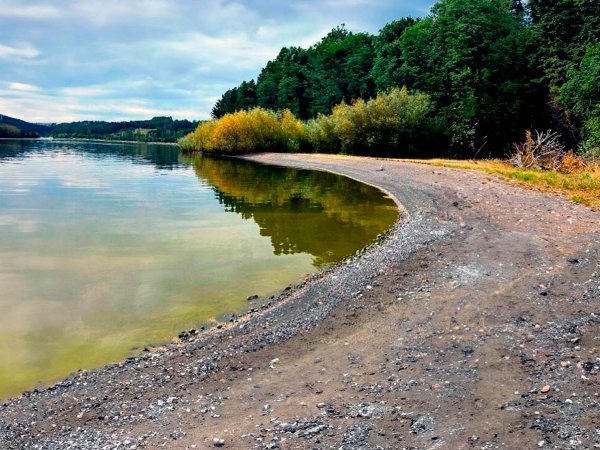 Lago Llanquihue con evidente contaminación.