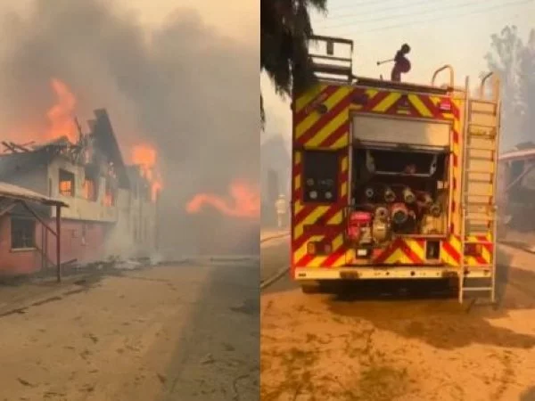 Incendio forestal consume liceo de Traiguén