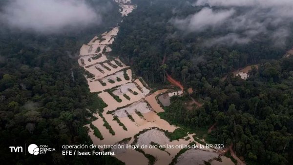 Vista aérea del Pantanal brasileño afectado por sequía extrema y reducción significativa de su superficie de agua en 2024.