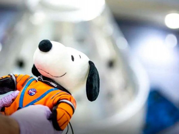 Peluche de Snoopy flotando en ingravidez dentro de la nave espacial Artemis I.