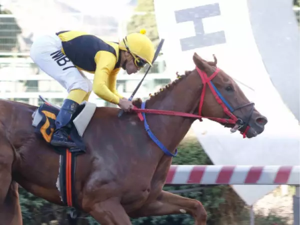 Vinculan a funcionario clave de la Fiscalía Centro Norte con red de apuestas hípicas ilegales