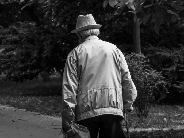 Equipo científico de la UTalca analiza la función mitocondrial en células de adultos mayores para prevenir el síndrome de fragilidad.