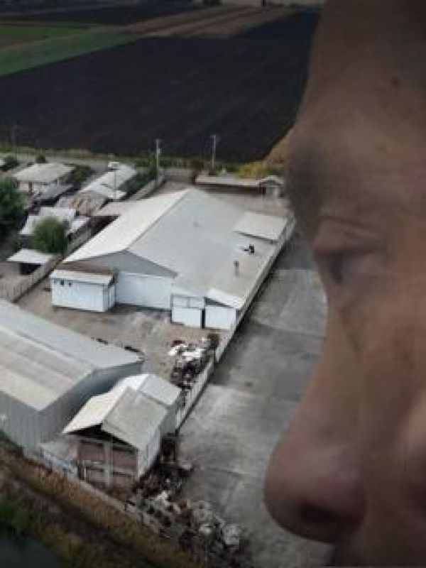 Cae enlace en Chile de mafia china transnacional que tenía megaplantación de marihuana en Rengo