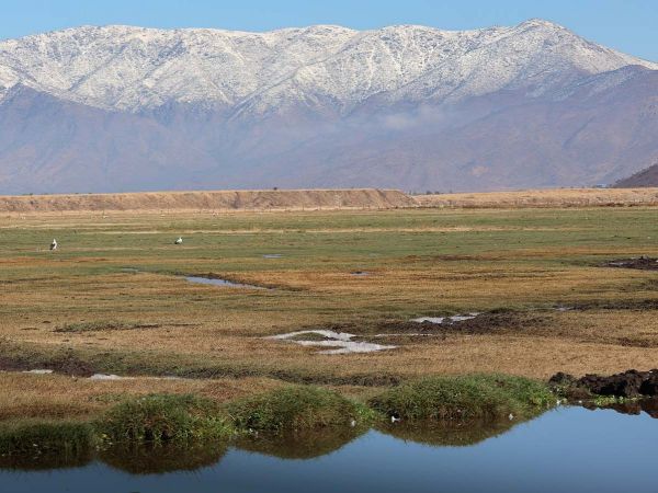 Humedal Urbano Quilicura.