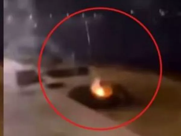 Fuegos artificiales a lobos marinos en Valdivia