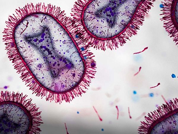 Virus respiratorio visto en un microscopio.