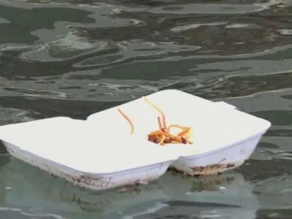 Frontera Azul: el mar es el símbolo de la crisis ecológica