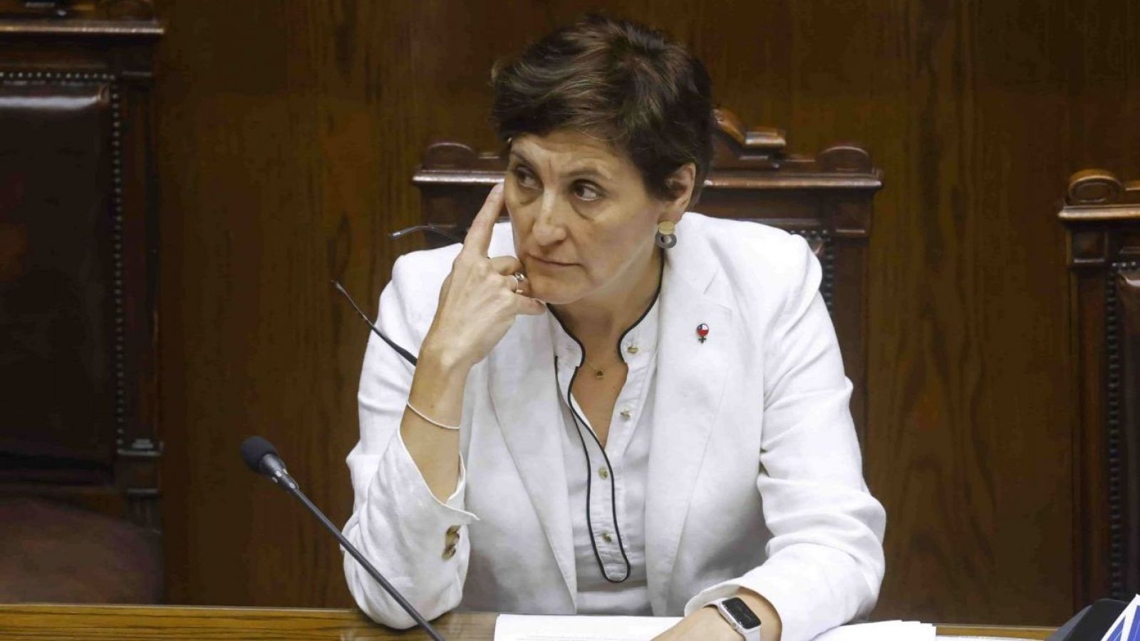 Ministra Ximena Aguilera