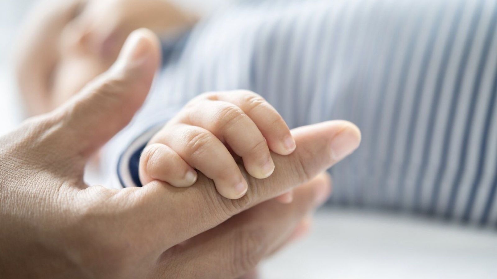 Nuevo sistema de adopciones en Chile