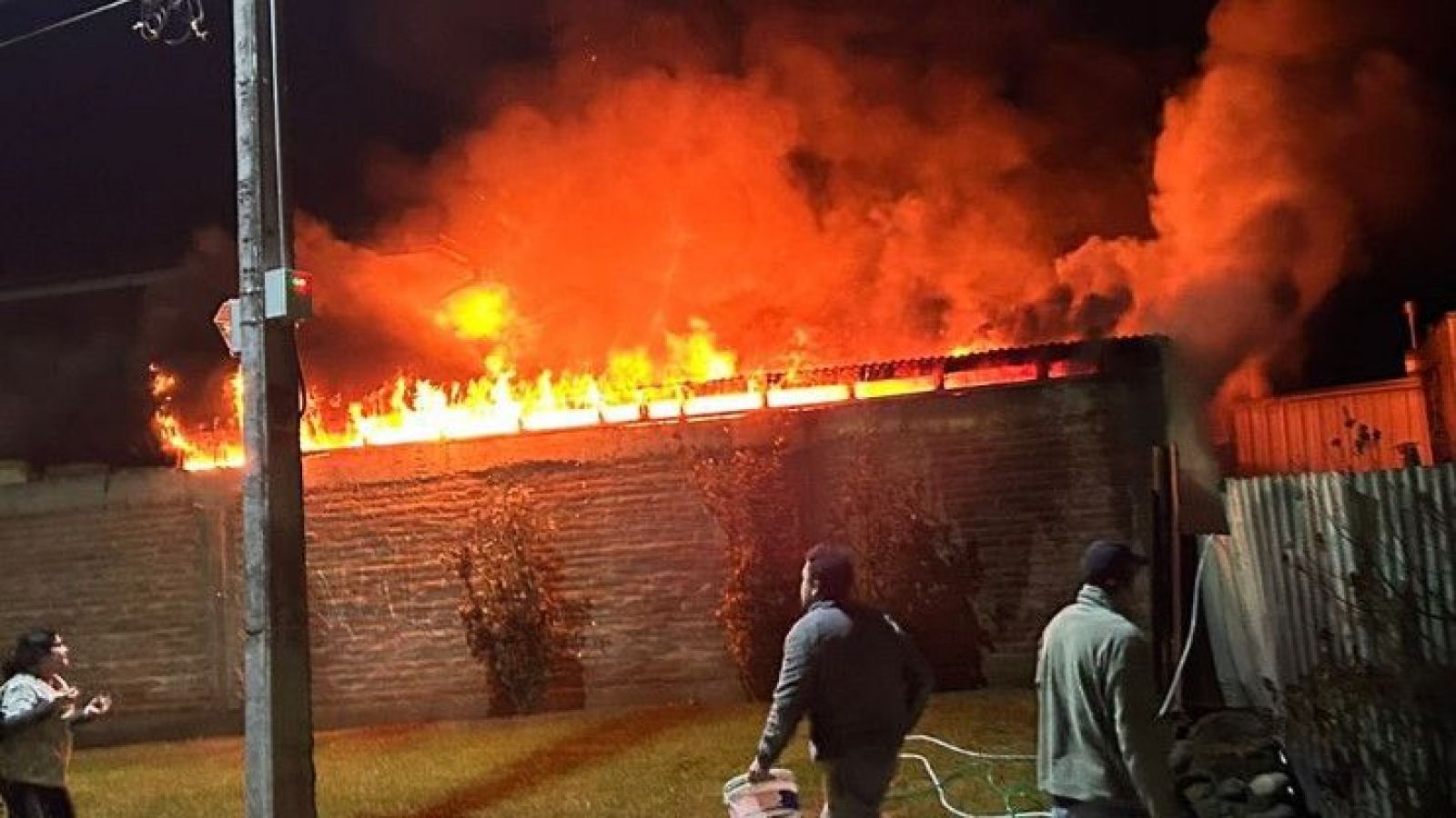 Incendio dejó más de 10 perros muertos