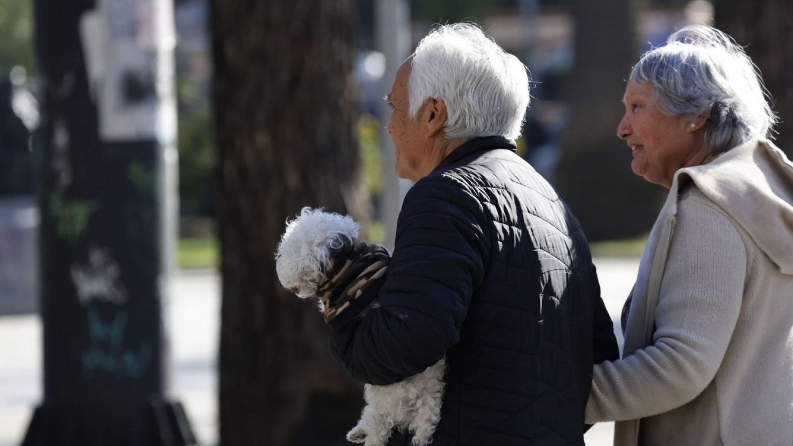 Adultos mayores caminando