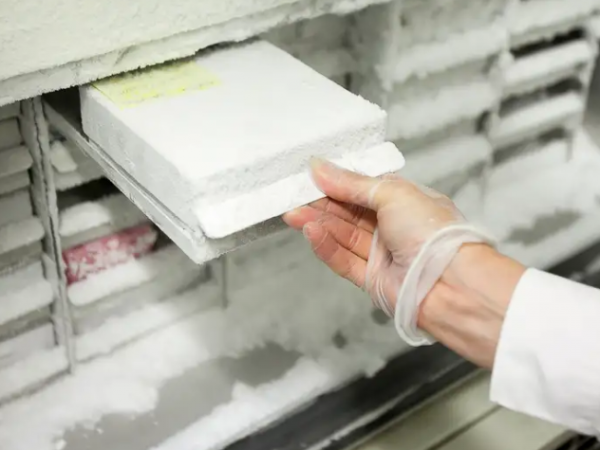 Bunker que almacena heces humanas en Suiza