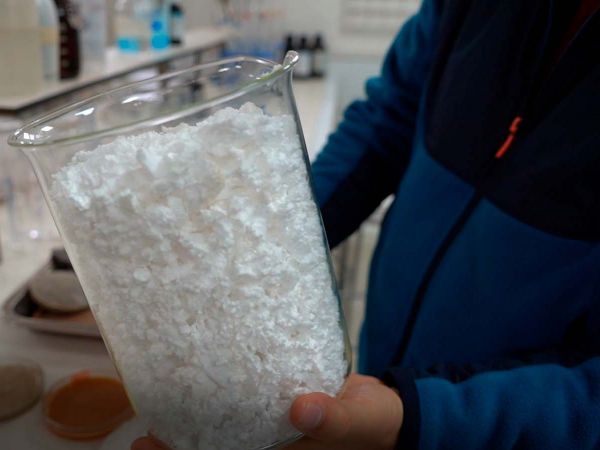 Investigadores de la Universidad de La Serena trabajan en laboratorio en el desarrollo de material de construcción sostenible a partir de plumavit y conchas de ostión.