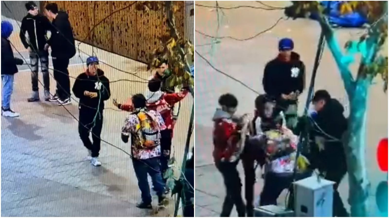 "La Jauría" cometiendo robo