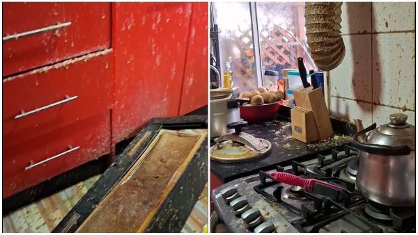 consecuencias explosión de olla a presión