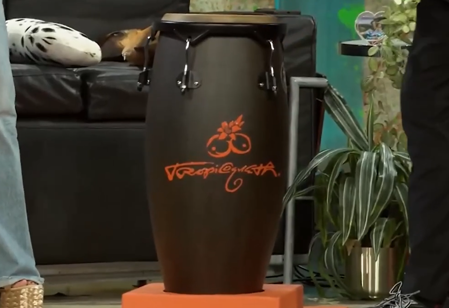 Regalo de Karol G a David Bronca es una conga que dice "Tropicoqueta" en letras de color naranjo
