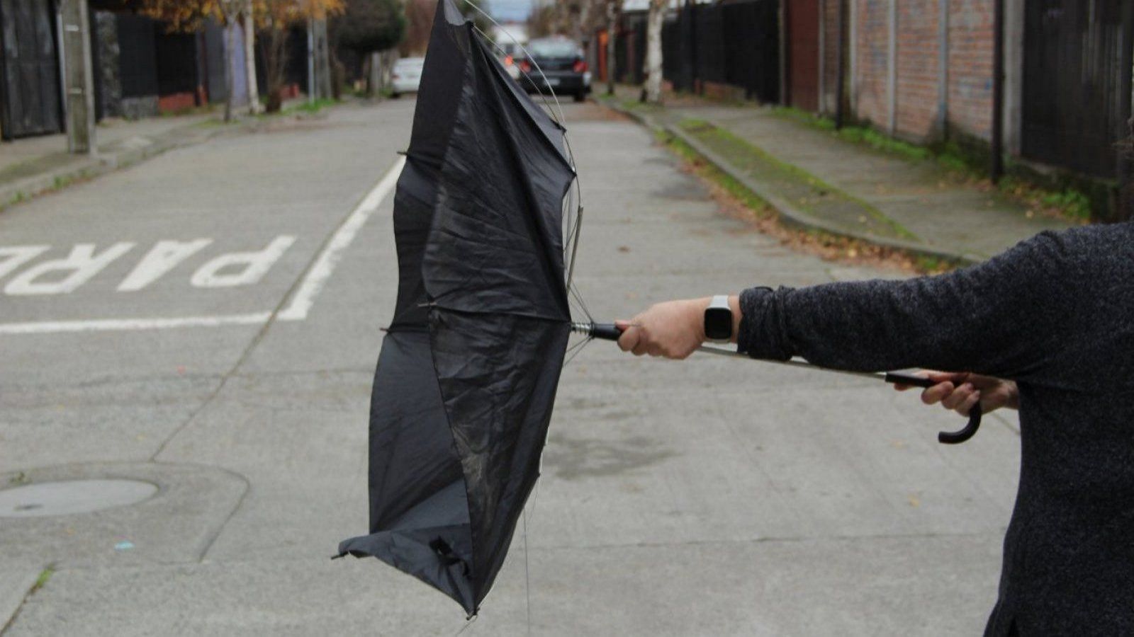 Viento