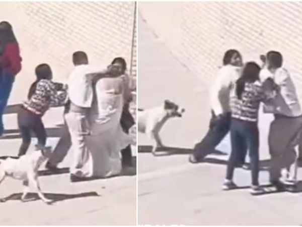 Pelea en Registro Civil de Copiapó.