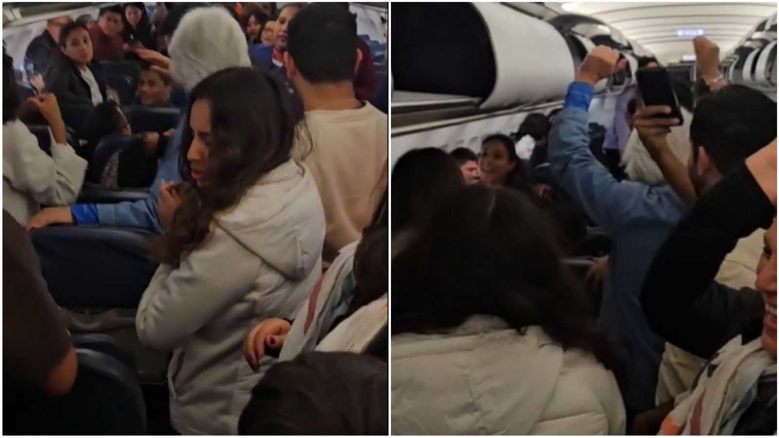 Hámster se pierde en vuelo en Perú