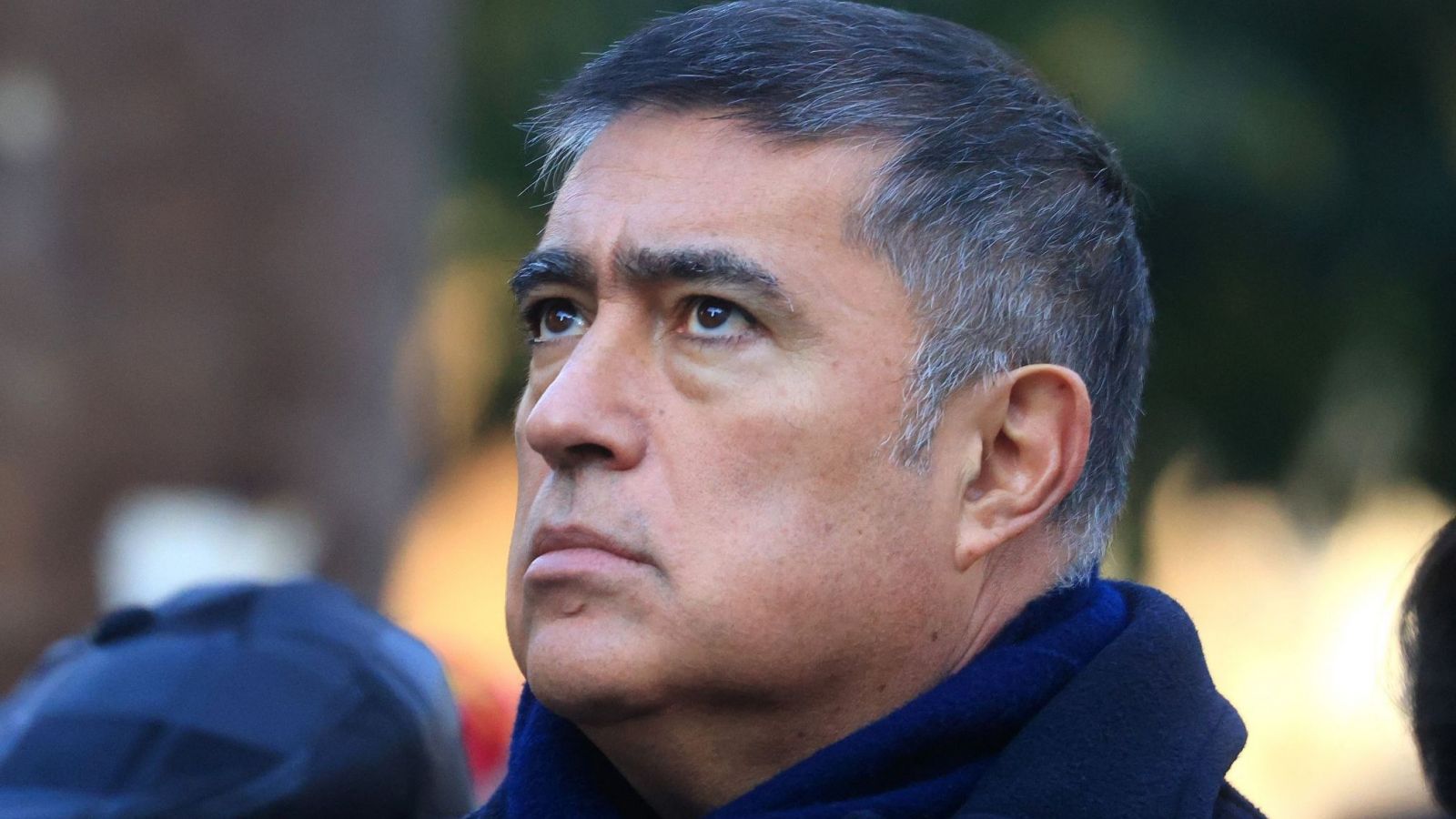 Imagen Mario Desbordes de perfil mirando hacia arriba.