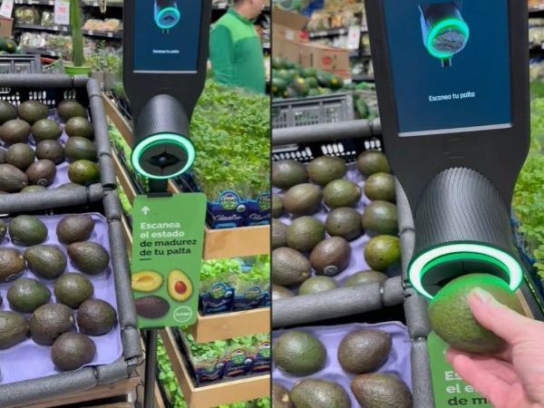 Máquina que revela estado de madurez de palta.