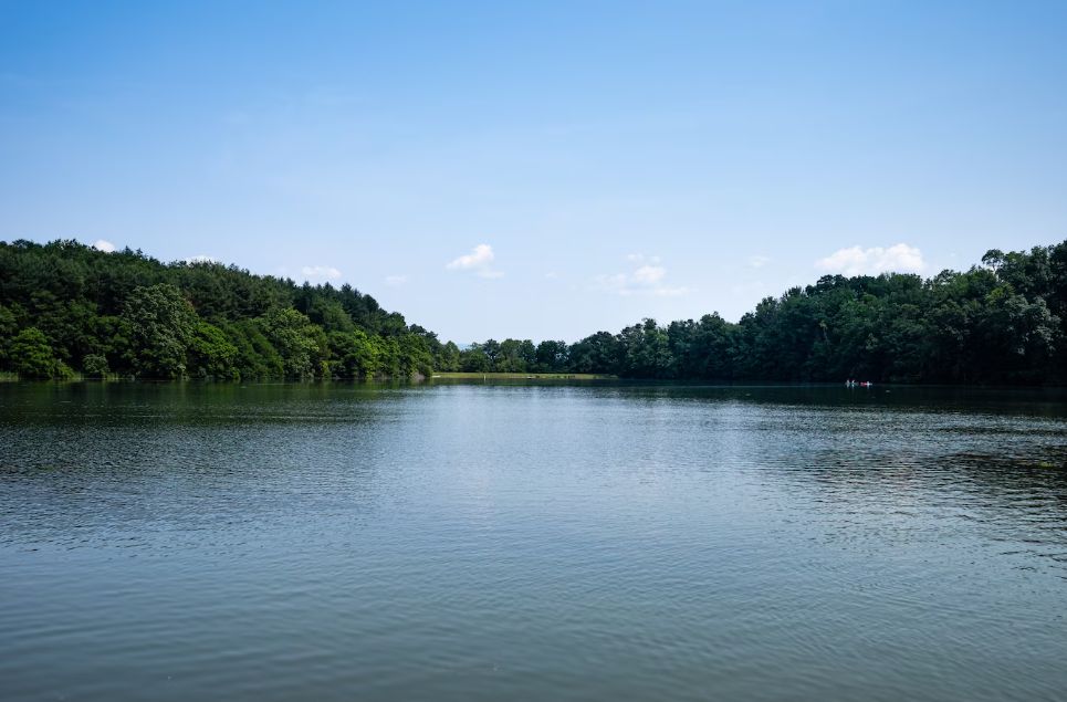 Lago. Agua dulce.