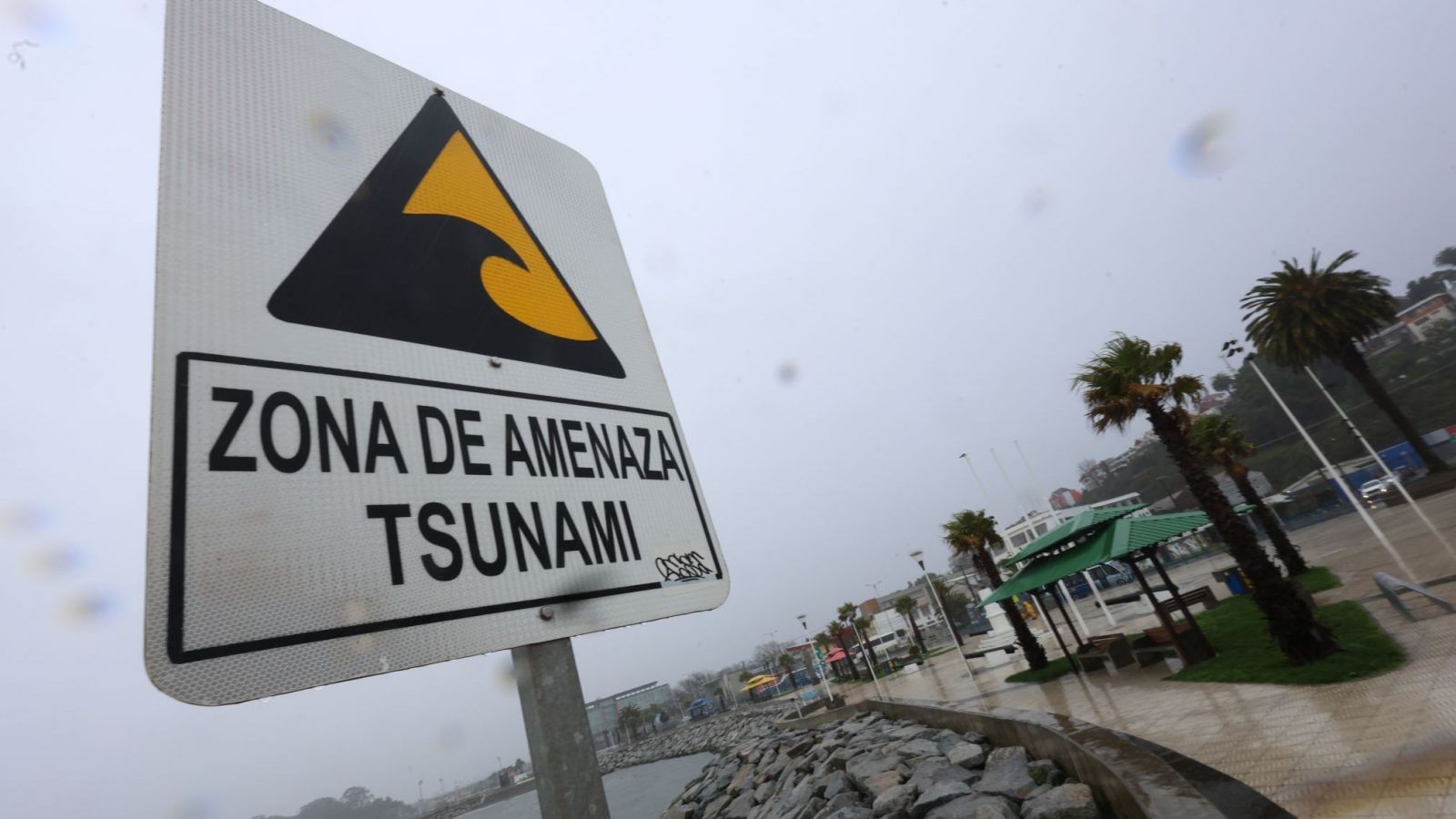 Tsunami