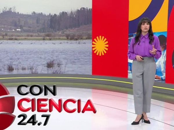 Conciencia 24.7 en 24 Horas: 14 de agosto 2025
