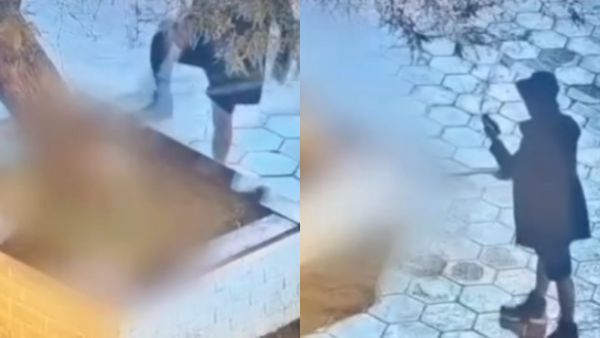 Maltrato animal en La Tirana: Hombre fue formalizado tras golpear brutalmente a su perro