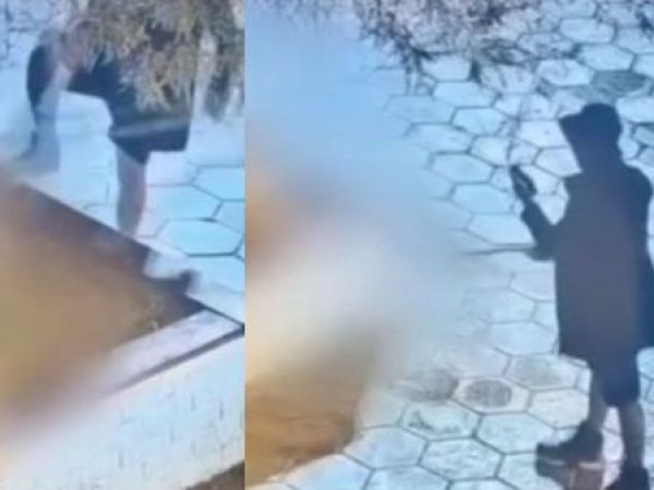 Maltrato animal en La Tirana: Hombre fue formalizado tras golpear brutalmente a su perro