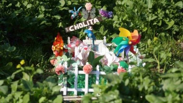 Cementerio de mascotas