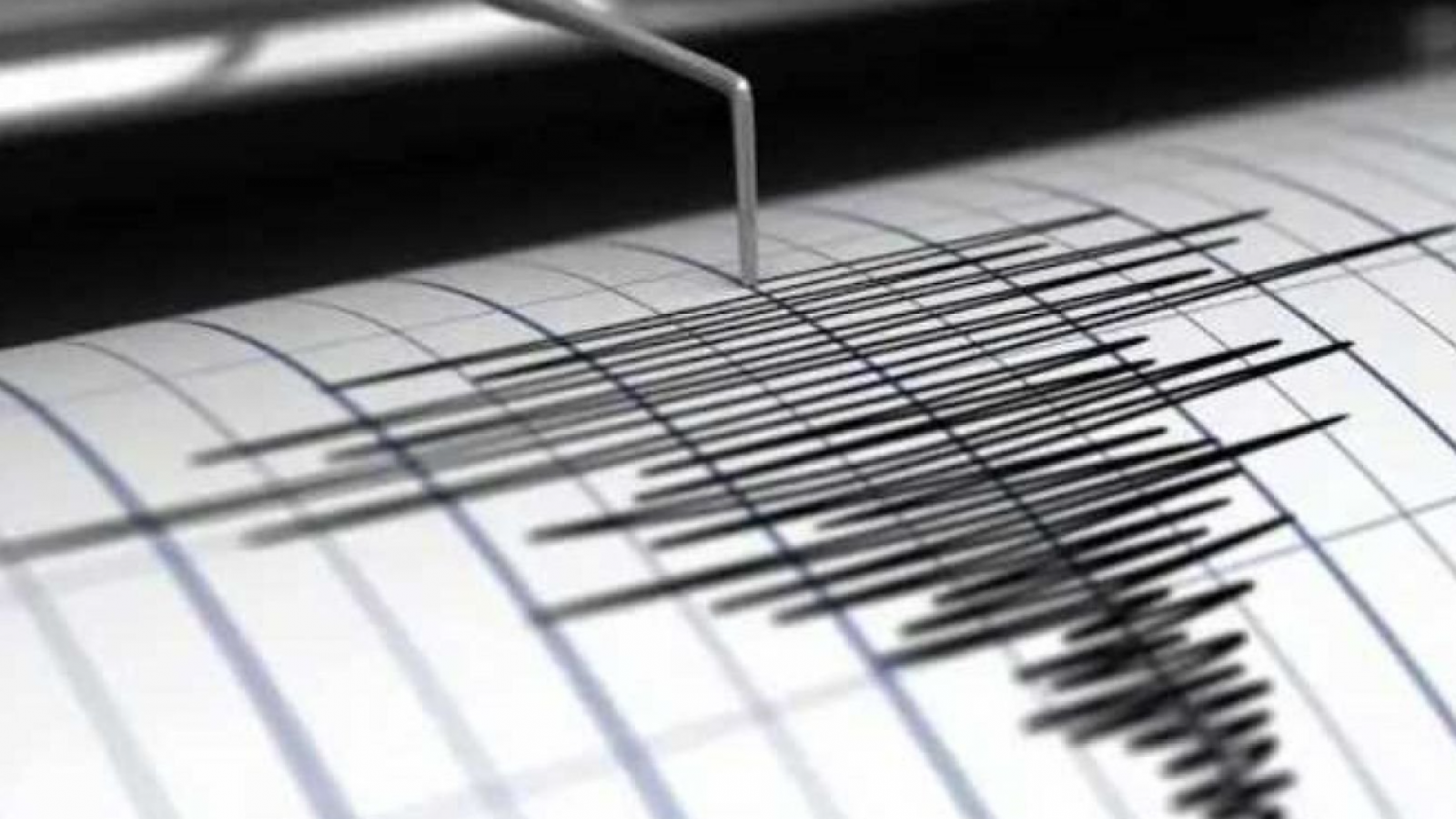 Sismo