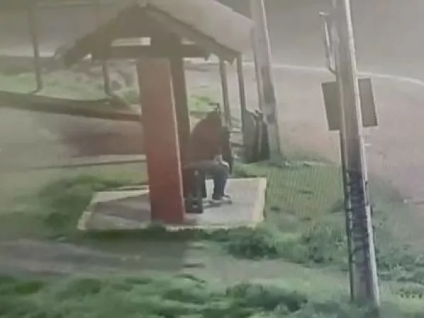 Secuestros selectivos, víctimas chilenas y estudiadas