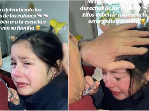 TikTok, publicado por Julieta Fillol.