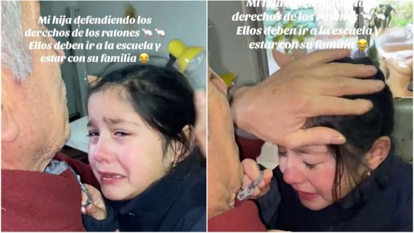 TikTok, publicado por Julieta Fillol.