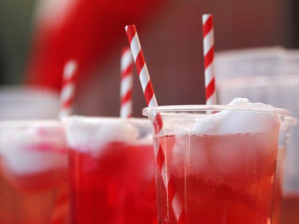 Fonda vegana. Terremoto