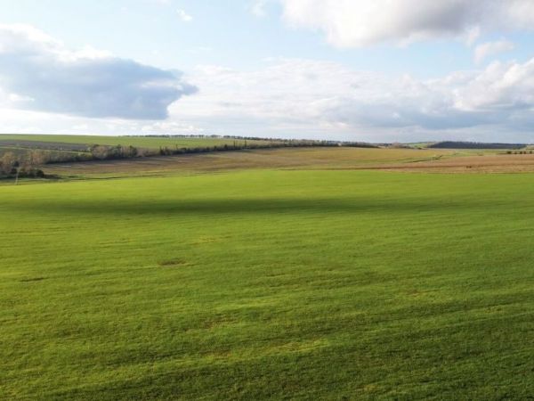 Terreno. Programa Tierra Joven