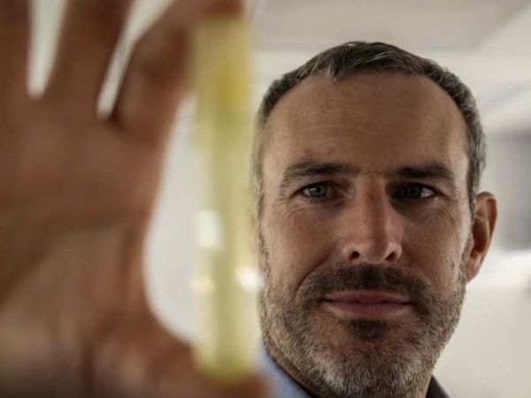 Imagen microscópica de Prochlorococcus, el fitoplancton más abundante del planeta y vital para la cadena alimentaria marina.