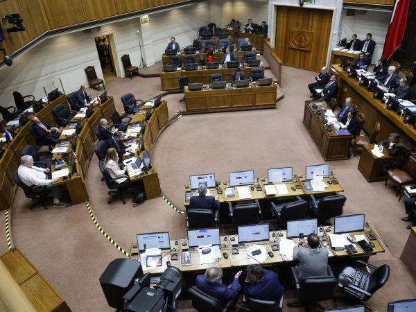 Multas avanza proyecto de voto obligatorio senado