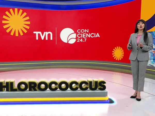 Conciencia 24.7 en 24 Horas: 11 de septiembre 2025.