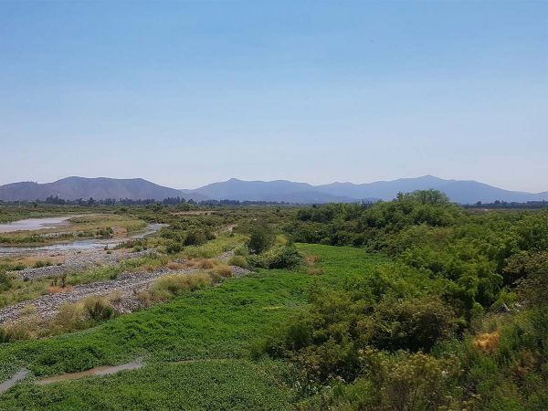 Río Maipo de Melipilla.